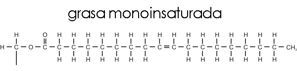monoinsaturada
