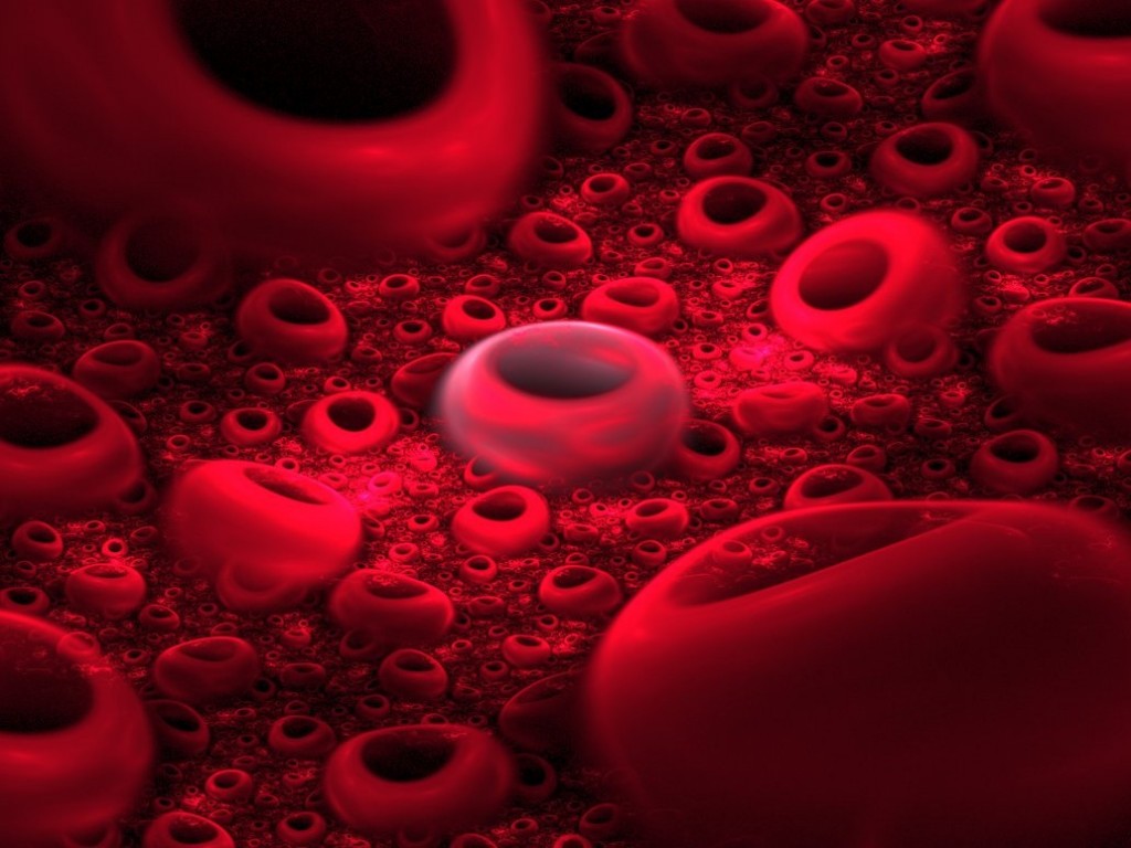 sangre-globulos2