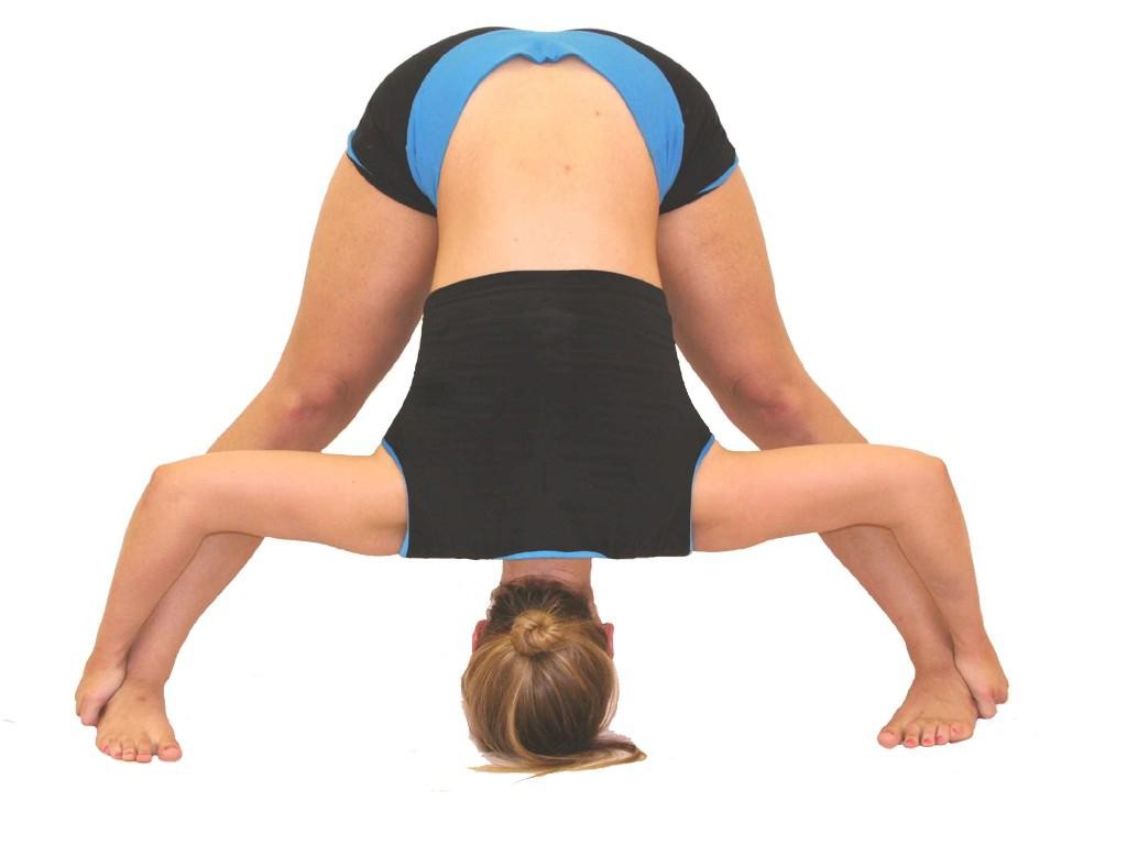 flexibilidad activa
