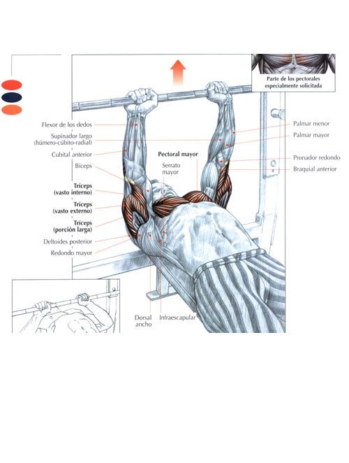 Ejercicios para tríceps con barra: Press francés acostado