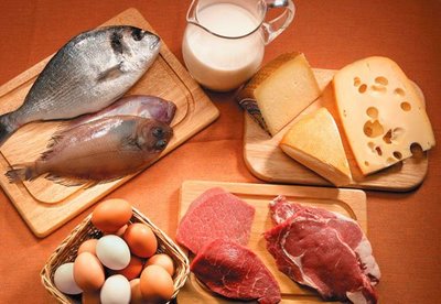 dieta carbohidratos y proteinas 1