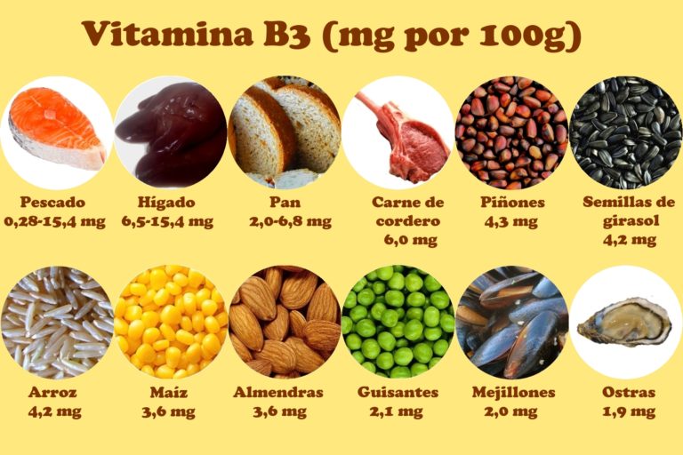 Vitamina B3 o Niacina